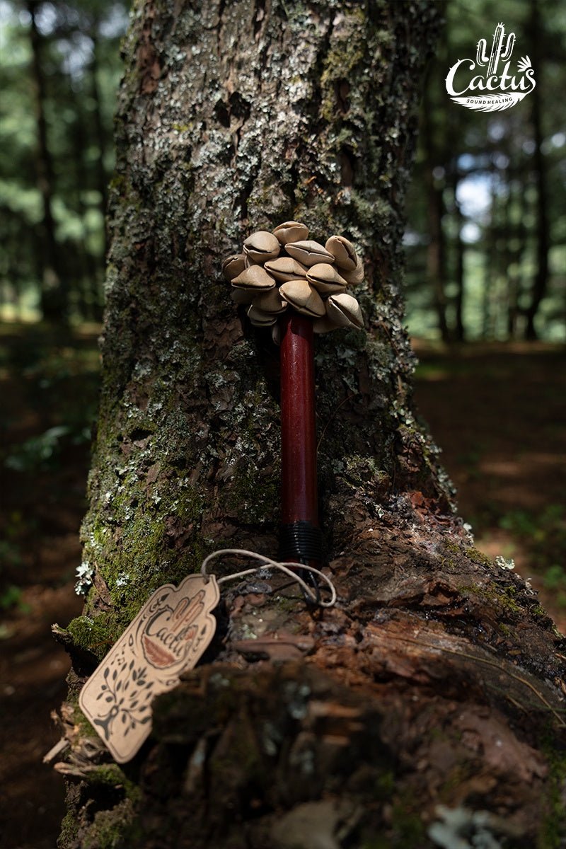 Handmade Chacha Oleander Seed Pod Wooden Handle Shaker
