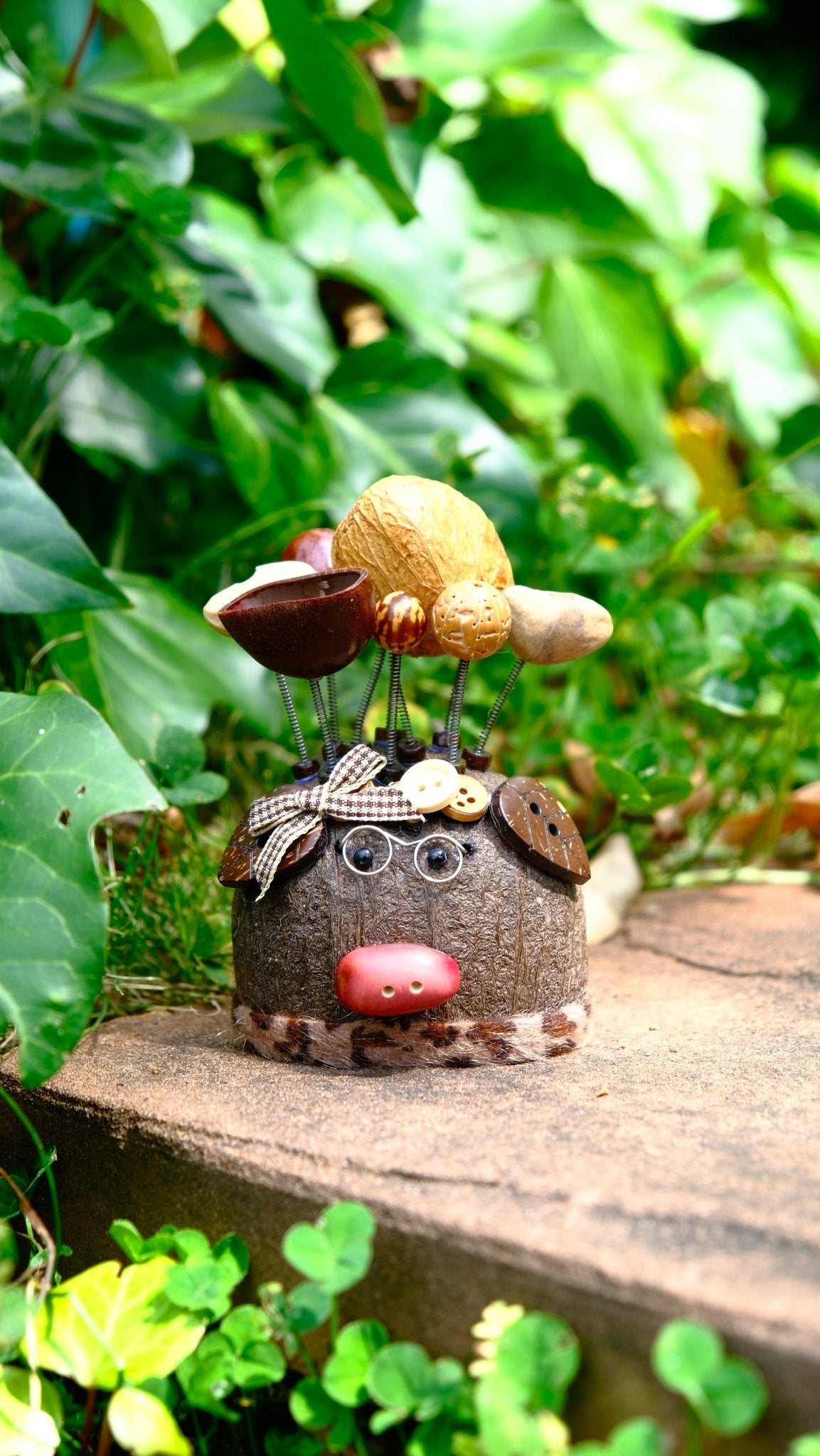 "The Scholar Piggy" - Smart Nut Shell Pig Doll