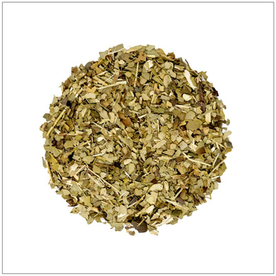 Premium Yerba Mate Tea