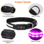 Collar para Perros GBruno con Luz LED