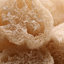 Natural Loofah Sponge - Eco-Friendly Exfoliator