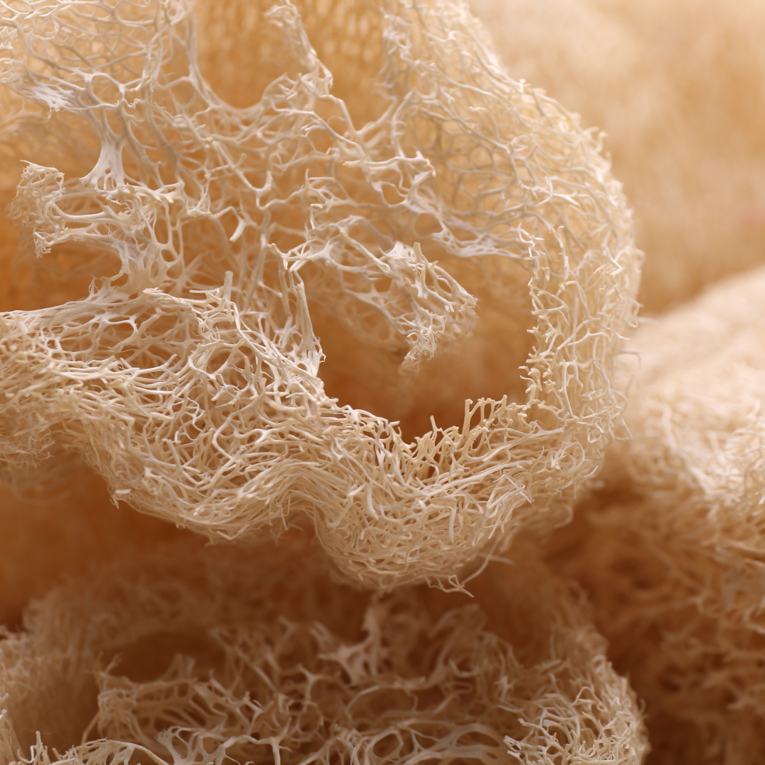 Natural Loofah Sponge - Eco-Friendly Exfoliator