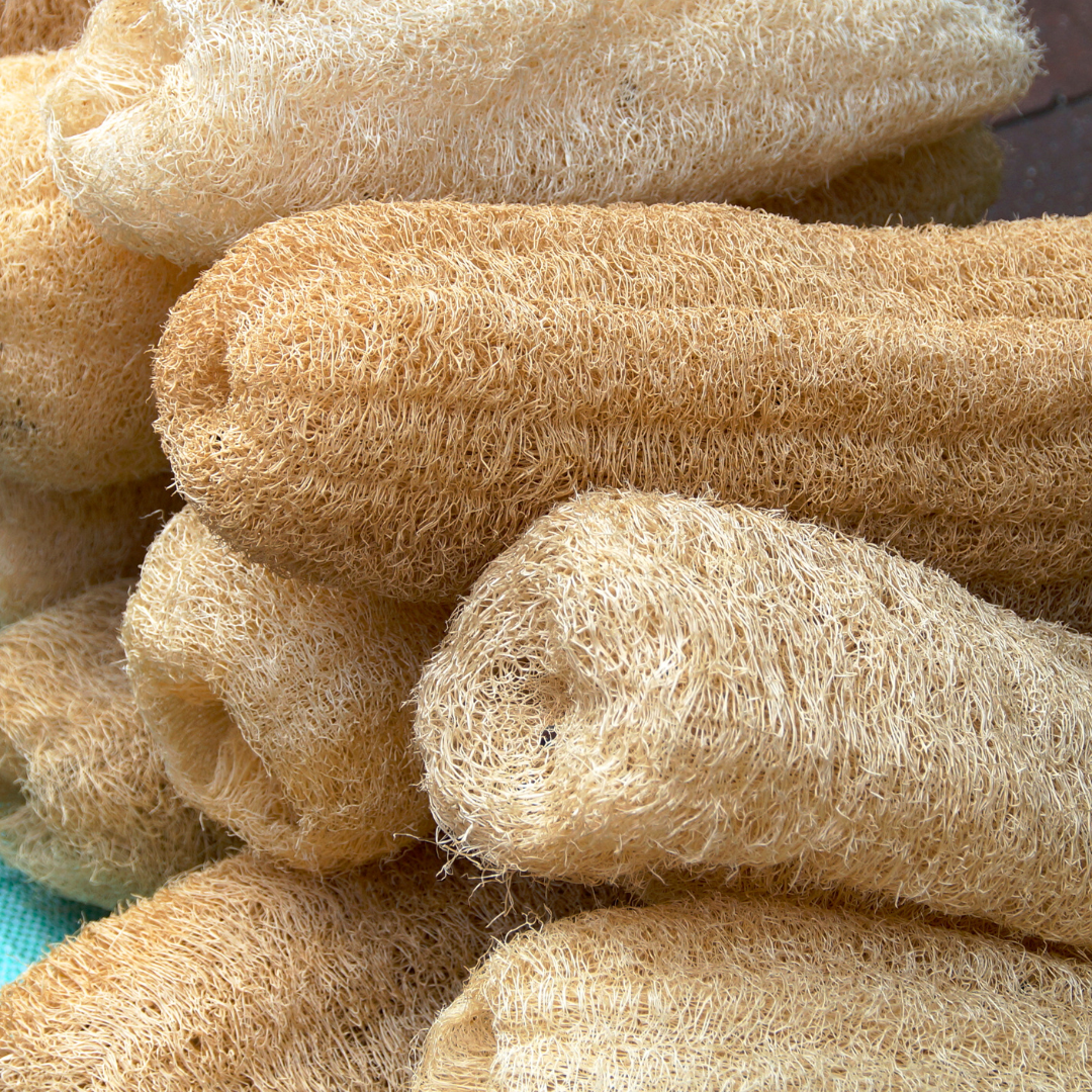 Natural Loofah Sponge - Eco-Friendly Exfoliator