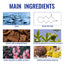 Charm Perfume, Men With Light Fragrance Wrist Neck Legs Lovers Body Fragrance Natural Clear - Korvel