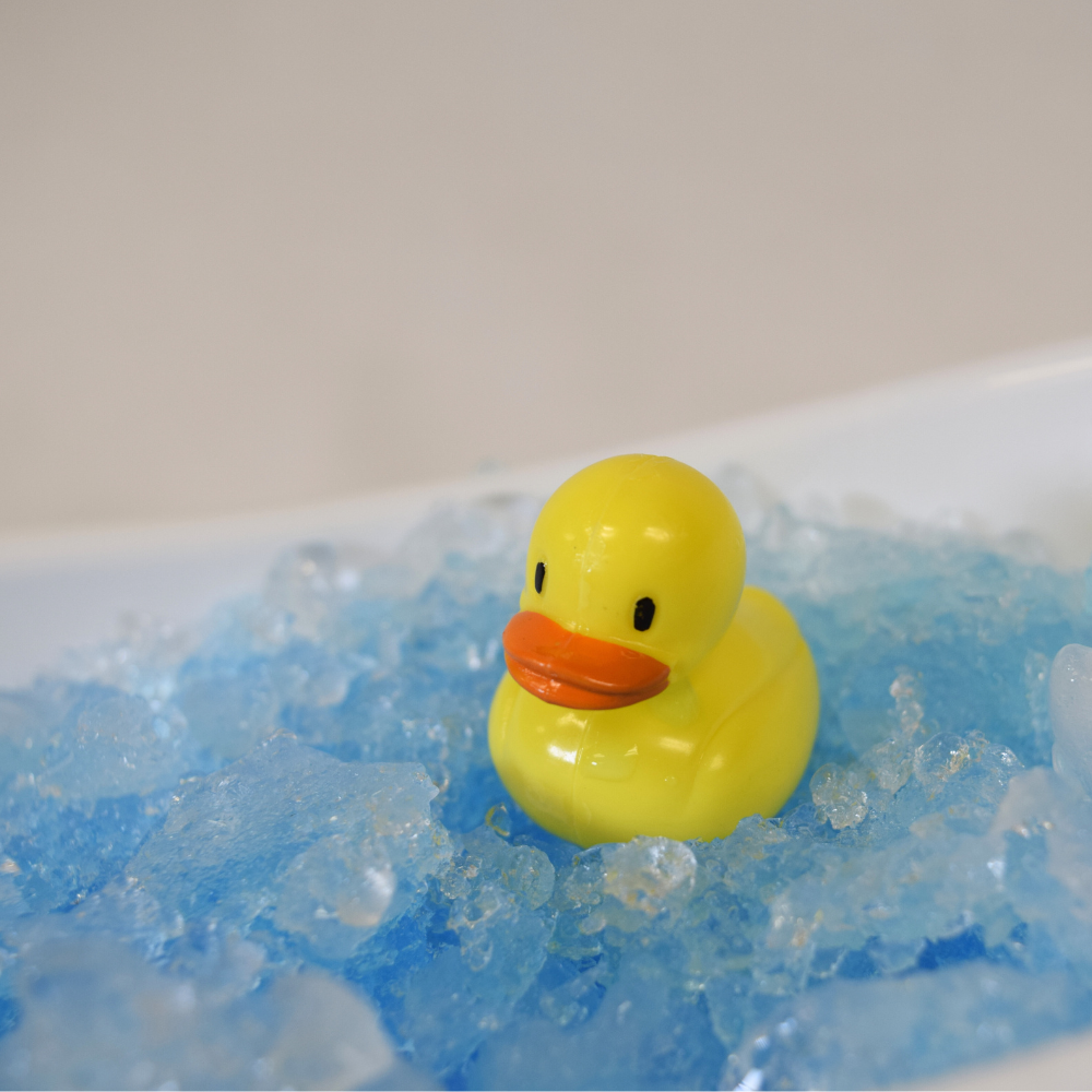 Oasis Supply Duck Cupcake Picks - Korvel
