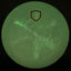Glow D-Line P2 (Flex 3) - Micro Shield Disc Golf Putter