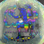 Jawbreaker Z FLX Cicada - Elk Man 2.0 par Ripper Studios
