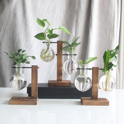 Transparent Bulb Vase with Wood Stand. For hydroponics. Great for coffee shops & room decor. - Korvel