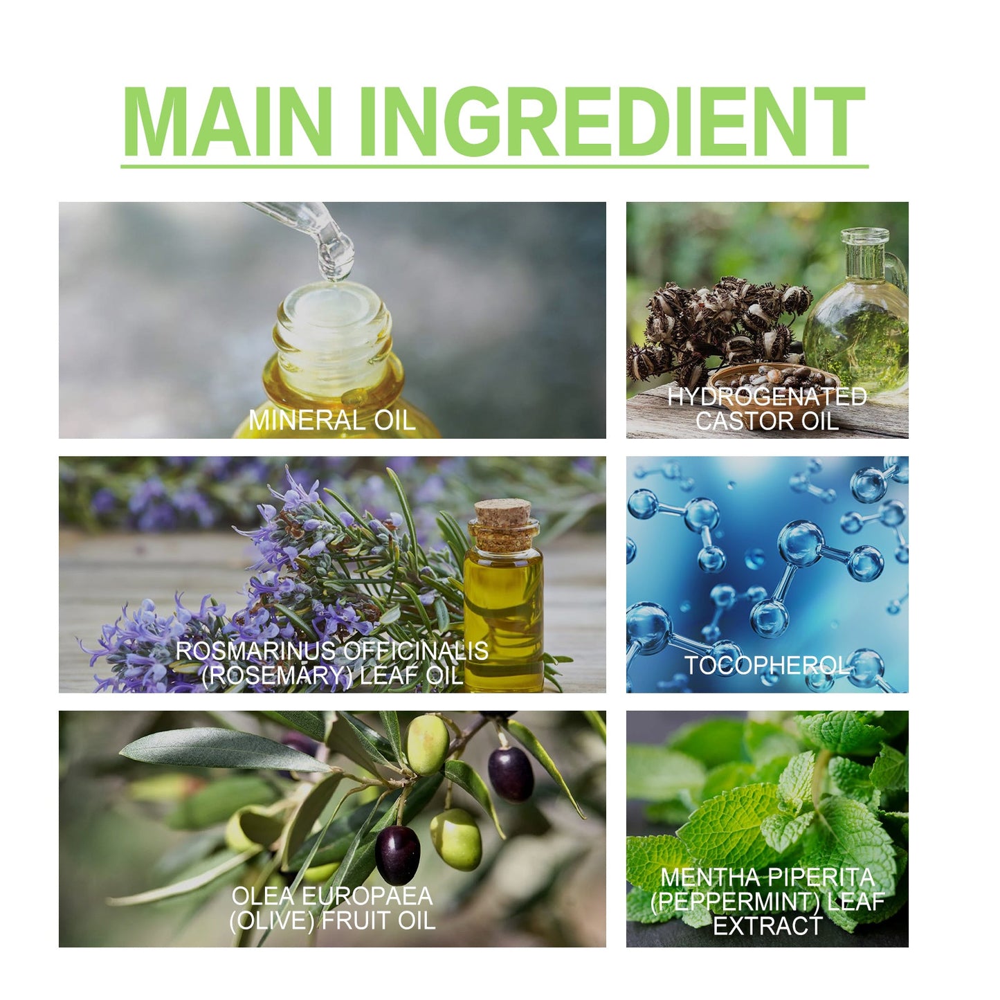 Rosemary Essential Oil For Hair Care, Anti-Frizz, Long Lasting, Soft Stay, Repair, Perm And Dye Hair Care - Korvel