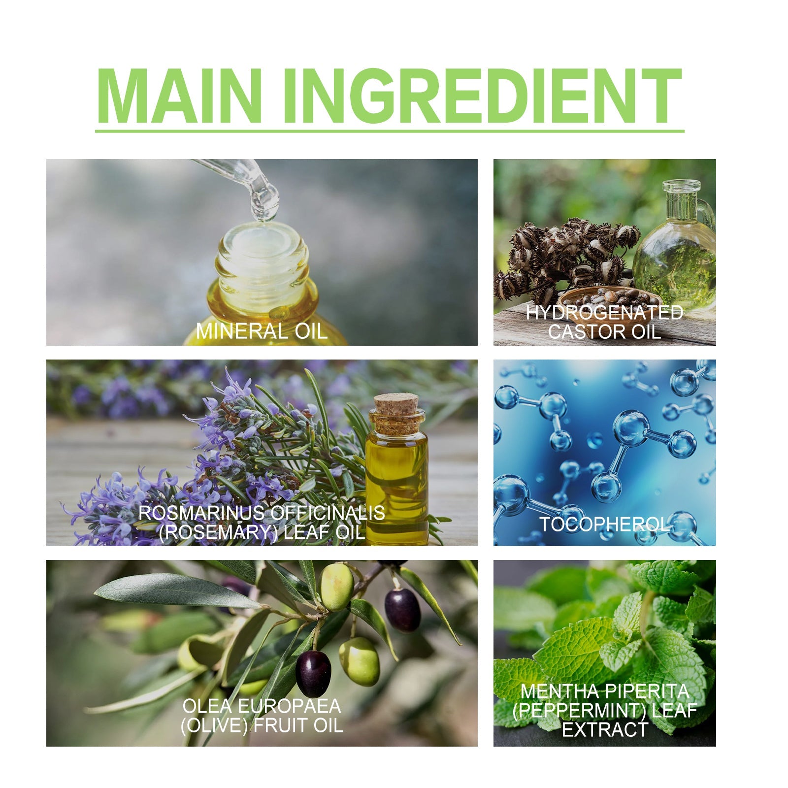 Rosemary Essential Oil For Hair Care, Anti-Frizz, Long Lasting, Soft Stay, Repair, Perm And Dye Hair Care - Korvel