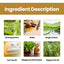 Tight Hair Shampoo Hair Cleansing Massage Scalp To Prevent Loose Tight Hair Roots Strong And Solid Hair Shampoo - Korvel
