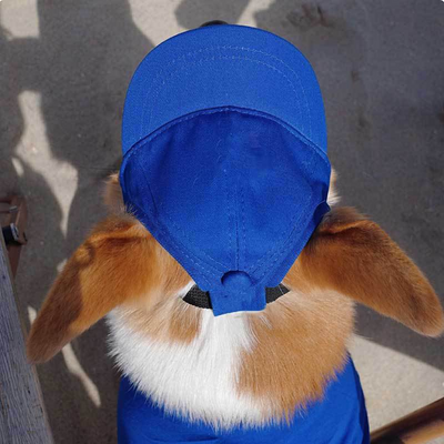 Pet Dog Outdoor Photography Leisure Sunshade Hat with Ear Holes Adjustable Corgi Baseball Cap - Korvel