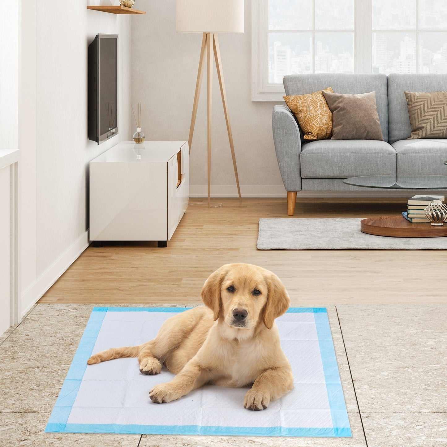 150-Pack 30 x 30 Inch Premium Pet Training Pads