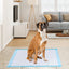 100-Pack 30 x 36 Inch Pet Training Pads