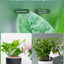 Insecticida en Spray Premium para Flores de Interior