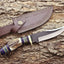Artisan Crafted 1095 Steel Hunting Knife with Antler & Exotic Wood Handle – 11" | KBS Knives - Korvel