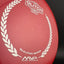 Soft Plasma Glitch - Championnat du Monde 2024 Disque de Disc Golf