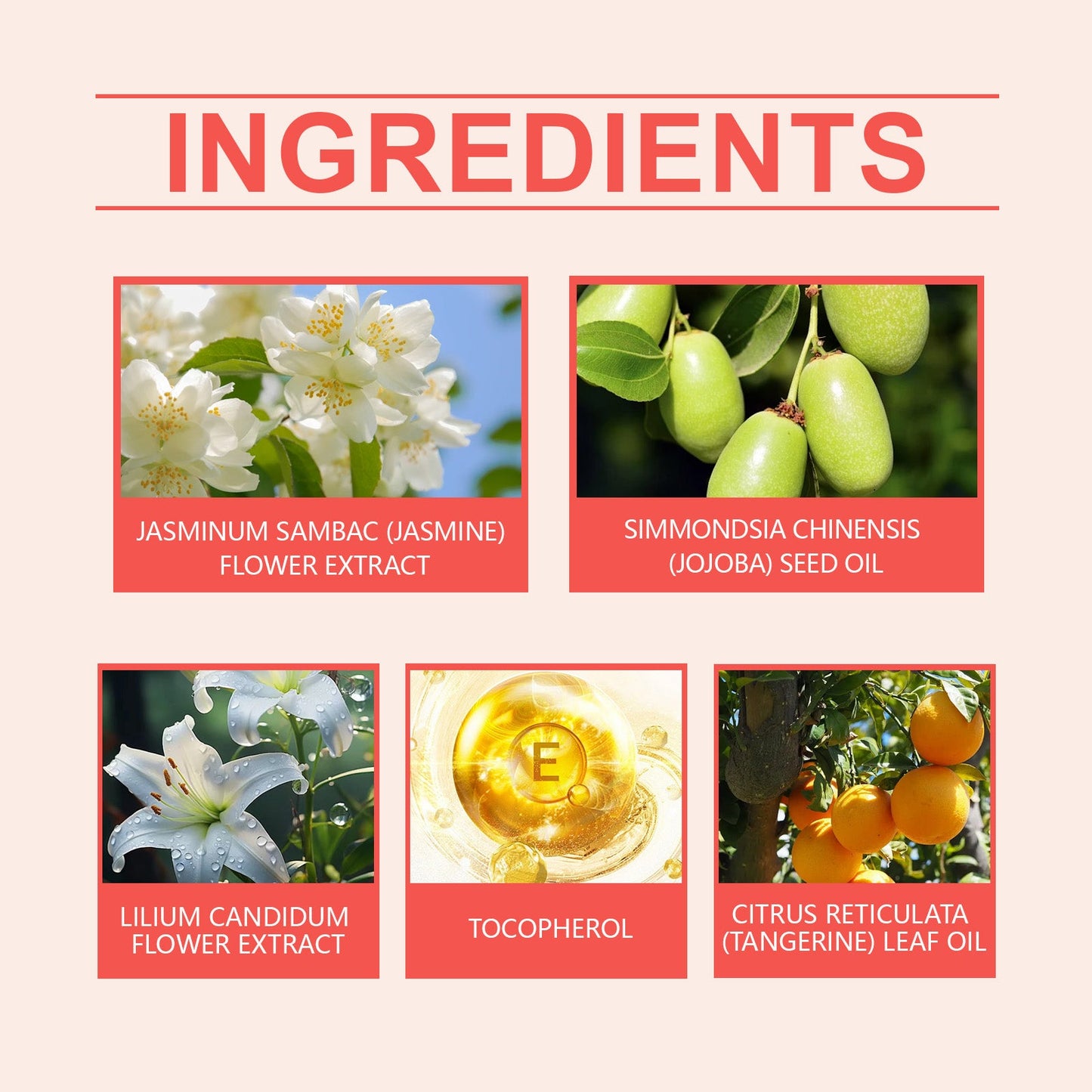 Eau de Parfum Jasmine Light - Parfum Floral Frais