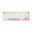 Customized Mechanical Keyboard with Multiple Switch Options