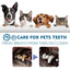 Pet Oral Cleaning Spray, Cats And Dogs Remove Tartar And Bad Breath Fresh Mouth Care Spray - Korvel