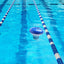 Pool storage, auto chlorine dispenser, spa cleaner, disinfectant box – 1/2 unit. - Korvel