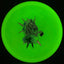 Disque de golf Nocturnal Flex Mustang