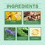 Wild Yam Body Moisturizer Nourishes, Hydrates, Firming, Lightening And Delicate Skin Yam Cream - Korvel
