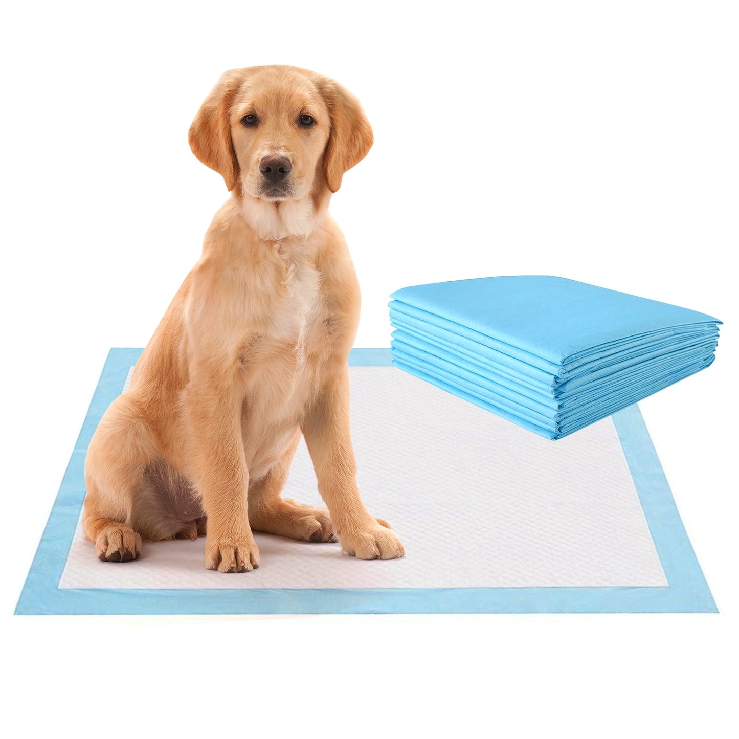 150-Pack 30 x 30 Inch Premium Pet Training Pads