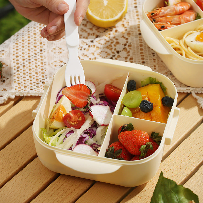 Microwaveable Portable Lunch Box with Compartments and Cutlery