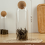 Food Storage Glass Jar with Wood Lid Ball Clear - Korvel