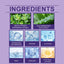 Purple Gum Care Gel Deep Cleans Stains And Gently Protects Gums For Dental Care - Korvel
