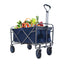 Outdoor Garden Multipurpose Micro Collapsible Beach Trolley Cart Camping Folding Wagon - Korvel