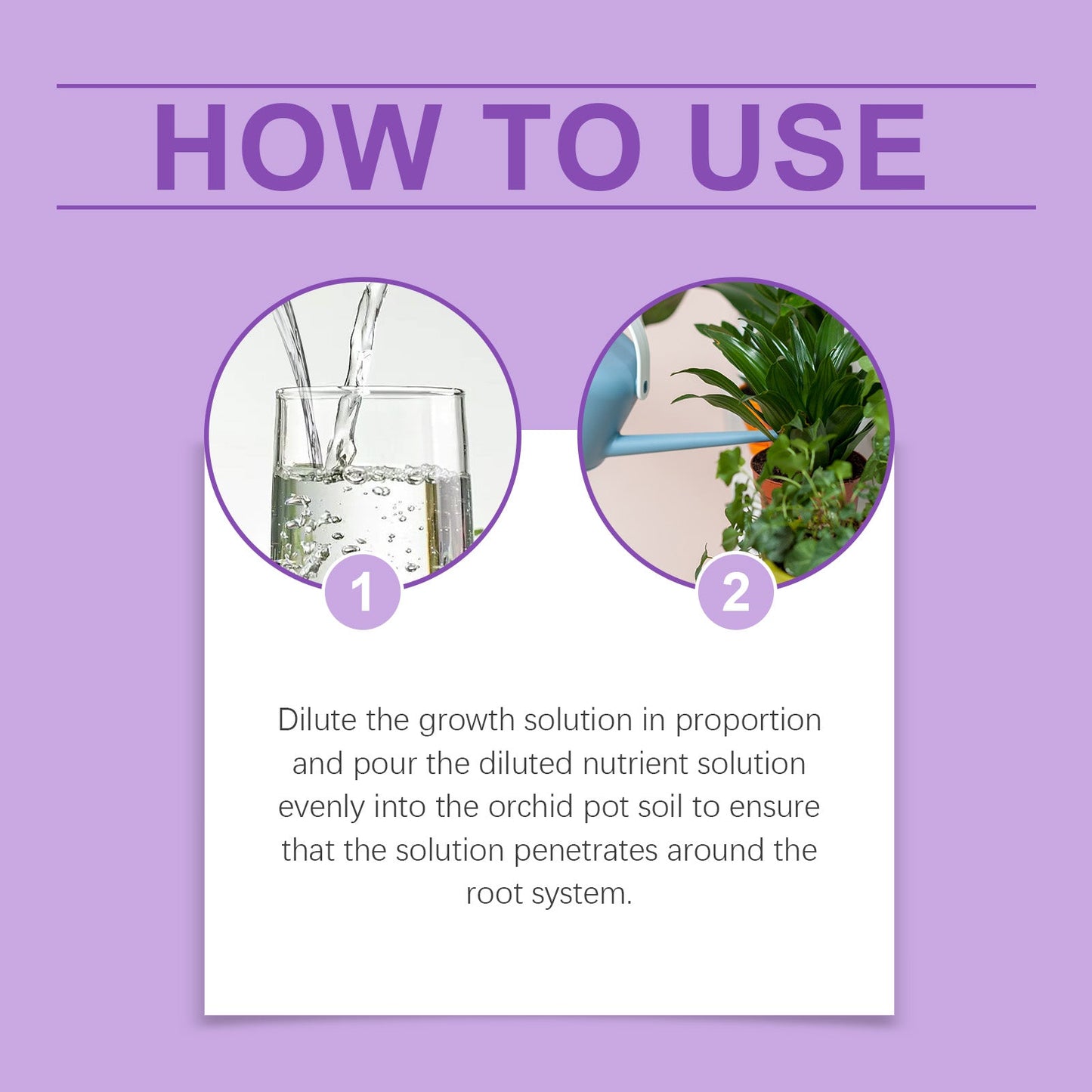 Premium Orchid Growth Nutrient Solution for Vibrant Blooms