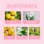 Sweet Summer Solid Balm Series Fresh And Elegant Portable Care Solid Balm With Fragrance And Charm - Korvel