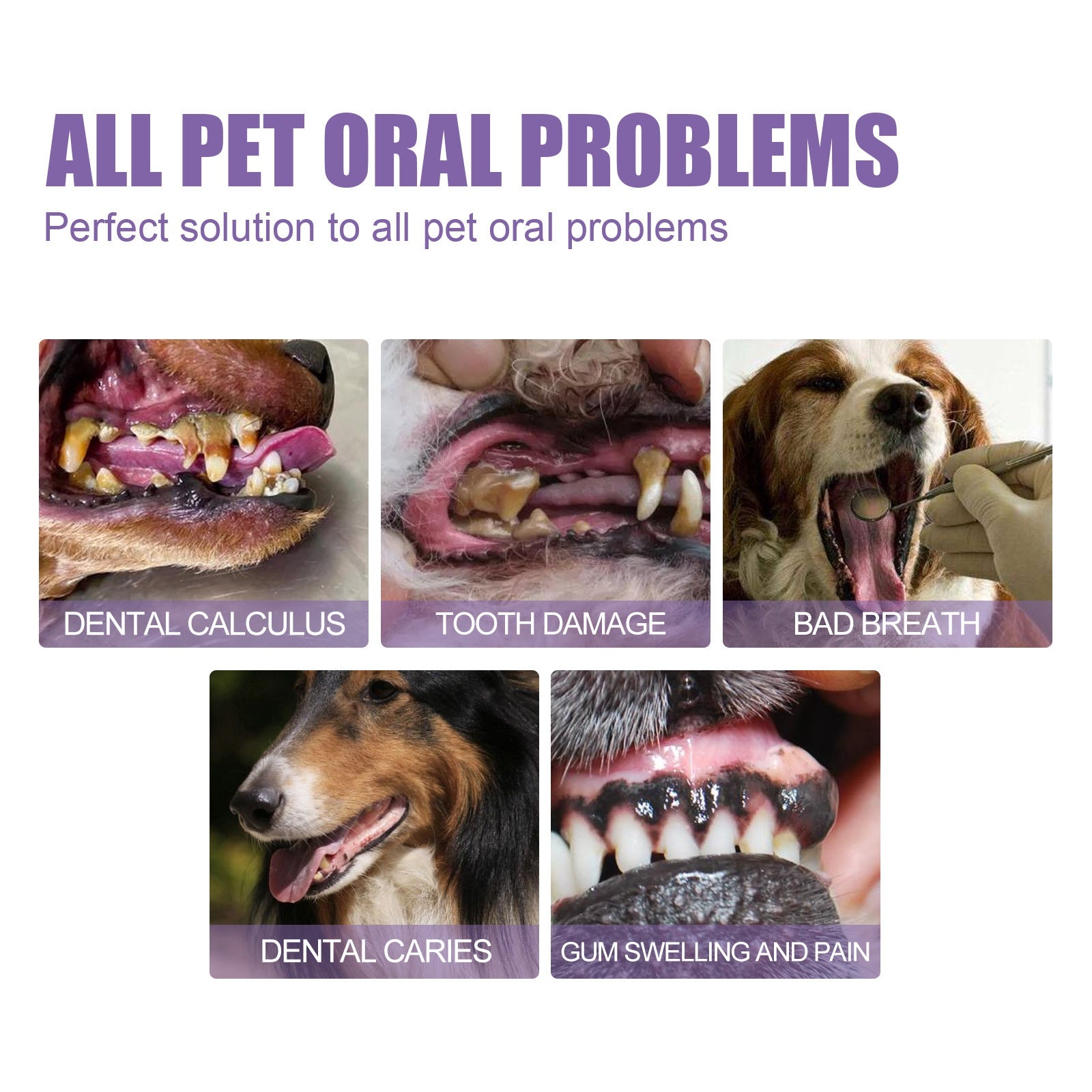 Pet Oral Care Gel for Deep Cleaning of Dog and Cat Teeth Stains and Oral Hygiene - Korvel