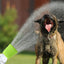 Tête de douche en silicone pour animaux de compagnie pour un toilettage facile