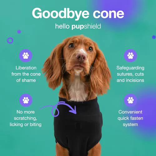 Pet sterilization suit wound anti licking suit suitable for all body types of dogs surgical recovery clothing set ﻿ - Korvel