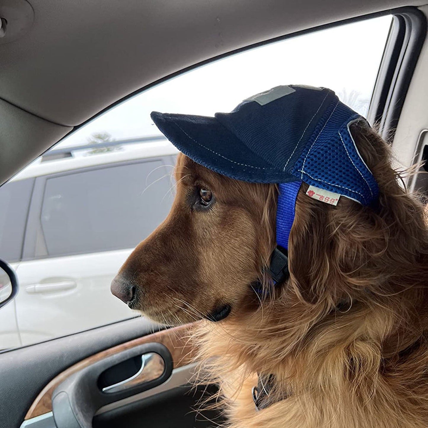 Sun Hat with G-Word Dog Design, Travel Sun Hat for Spring and Autumn, Outdoor Sun Protection with Mesh Ventilation, Pet Themed Baseball Cap - Korvel