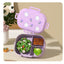 Cartoon cute small fresh microwaveable compartment insulation lunch box fresh-keeping box - Korvel