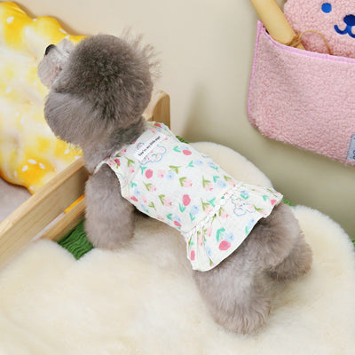 Puppy costume Teddy Schnauzer peach heart gauze skirt - Korvel