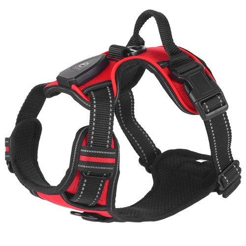 GBruno Light Up Dog Harness - Korvel