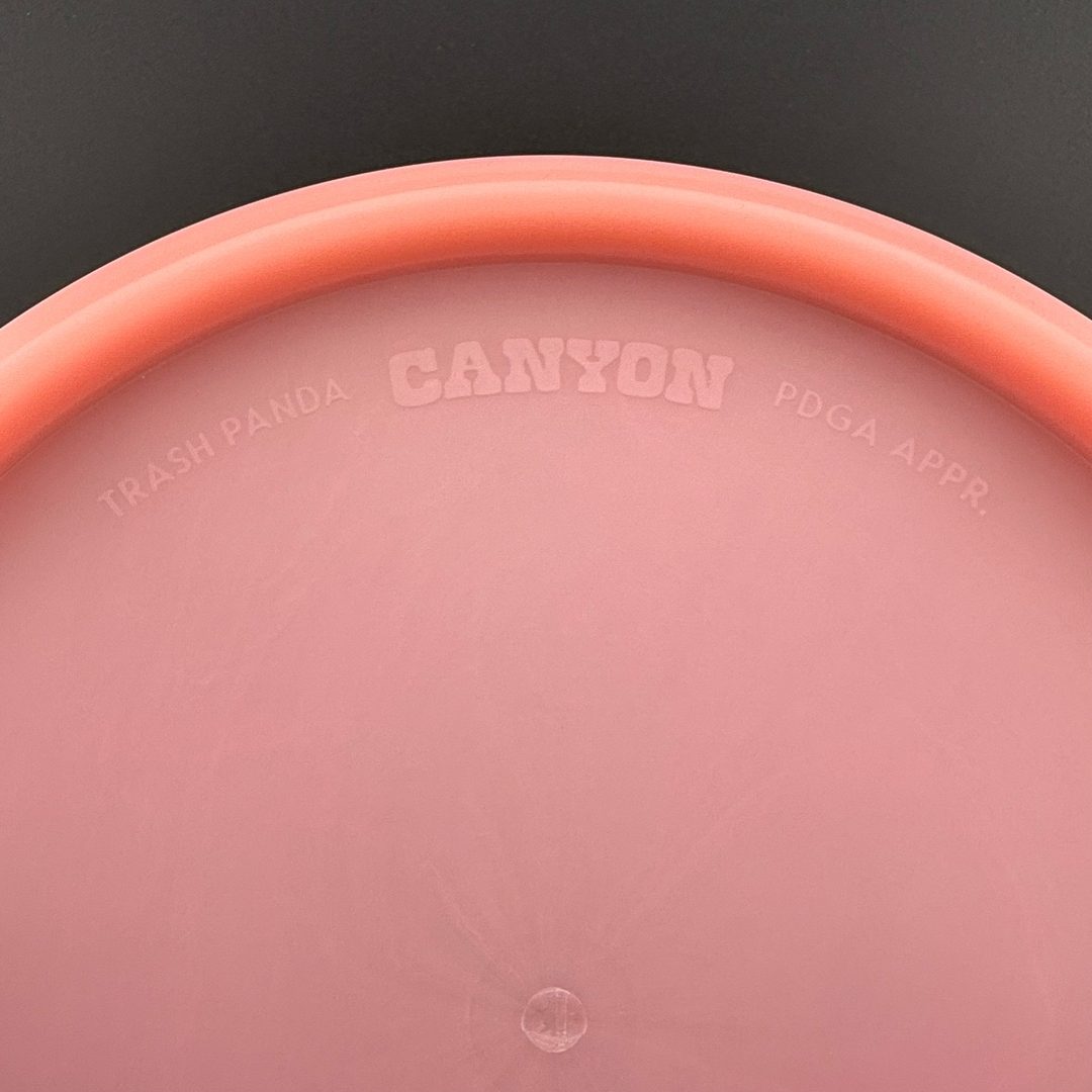 Canyon Disc Golf - Première Course