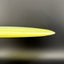 Proto Glow Champion Roadrunner Disc Golf Driver
