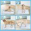 100-Pack 30 x 36 Inch Pet Training Pads