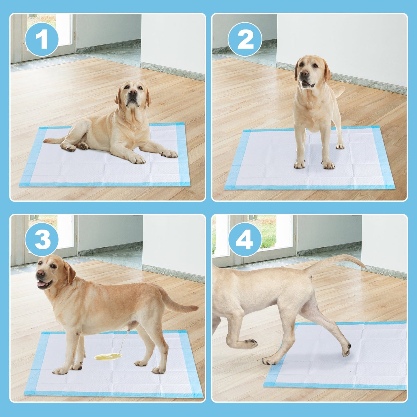 100-Pack 30 x 36 Inch Pet Training Pads