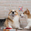 Dog cigarettes with box, sound making toys, pet toys, bite resistant and grinding plush toys, cat supplies - Korvel