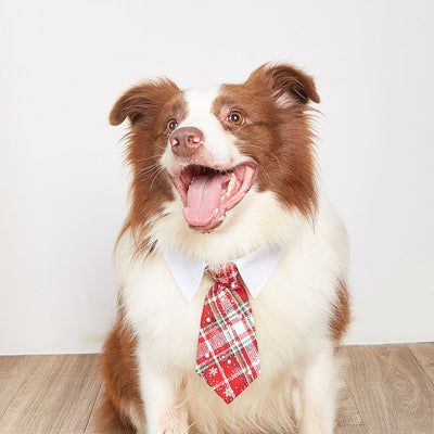 New British style handsome Christmas dog collar Christmas pet tie - Korvel