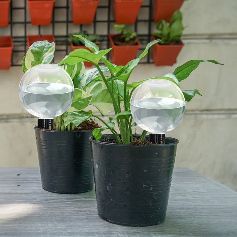 1-5PCS 500ML Plastic Automatic Plant Watering Bulbs, Globe - Shaped Self - Watering Drip Irrigation for Pots - Korvel