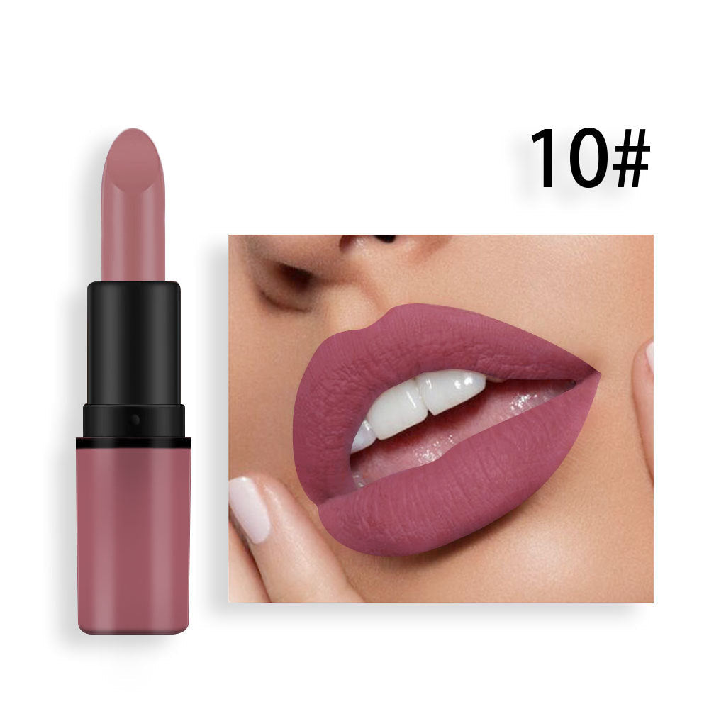 Premium Matte Lipstick in Rich Plum and Classic Red Shades