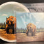 Tournament Bear - DyeMax - Conception Grizzly Disque de Disc Golf